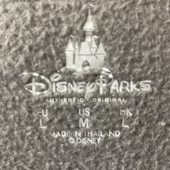 Disney Parks the Magic Kingdom Hoodie rare Walt Disney World original sz M grey - Picture 6 of 7